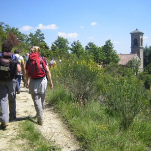 Sentieri nella natura